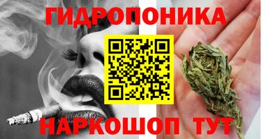apvp Краснокаменск