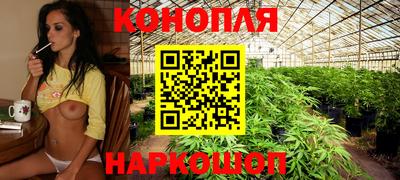 apvp Краснокаменск