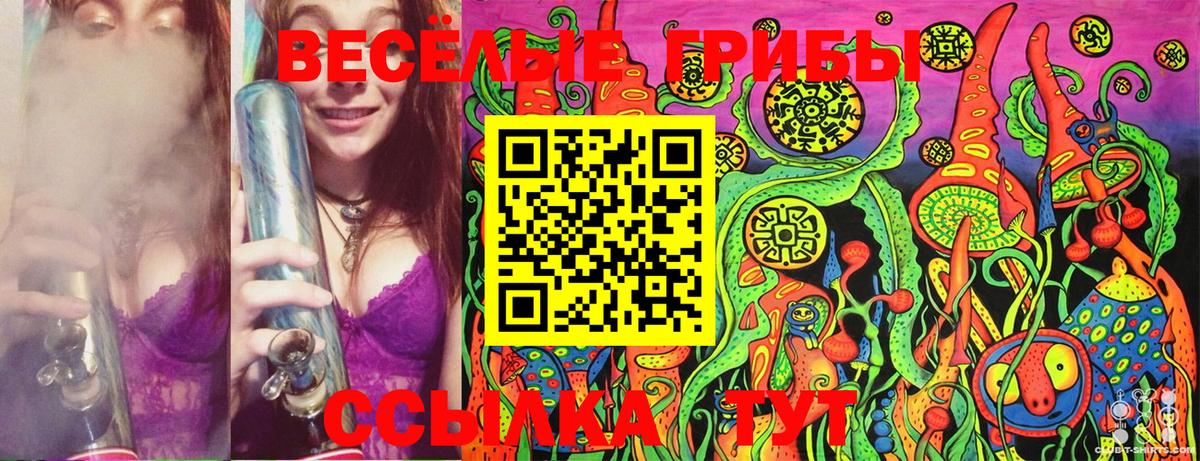 Галлюциногенные грибы Cubensis Калач-на-Дону